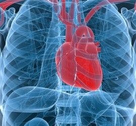 Heart Beat: Cardiovascular News Roundup From MedPage Today