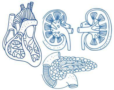 SGLT-2 Inhibitor HF, CV Benefit Found Consistent Across Populations with T2D, CKD, HF 