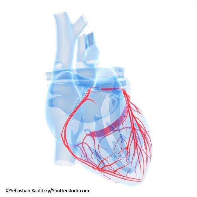 Study: Beta-Blockers Effective in HF for Seniors, Women